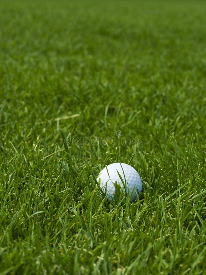 Golf ball on lawn stock image. Image of close, sphere 5966405