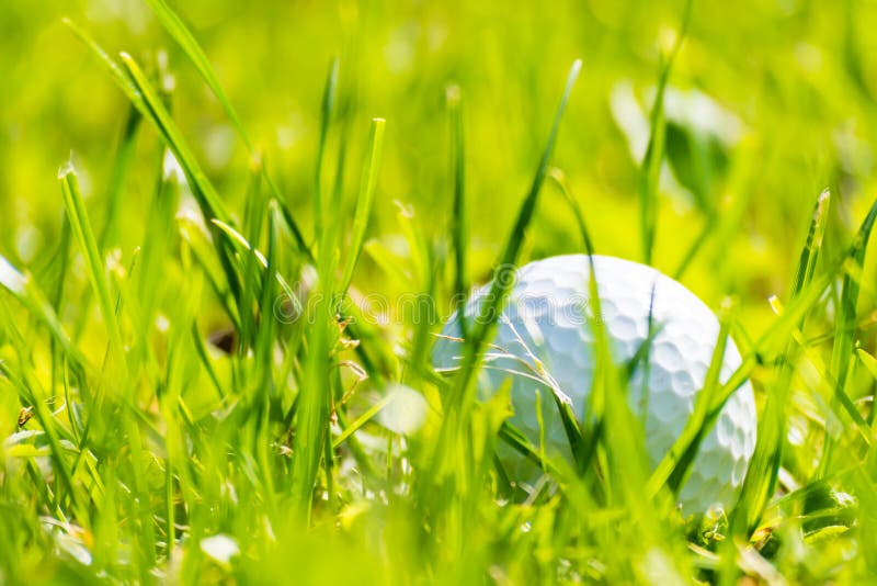 120 Lost Golf Ball Stock Photos Free & RoyaltyFree Stock Photos from