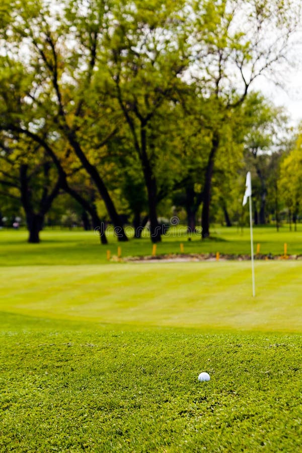 Golf ball on the green stock photo. Image of background 40448512