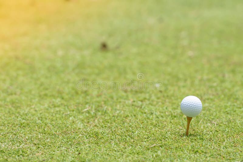 Golf Ball Placed on the Lawn. Stock Photo Image of hitting, driver