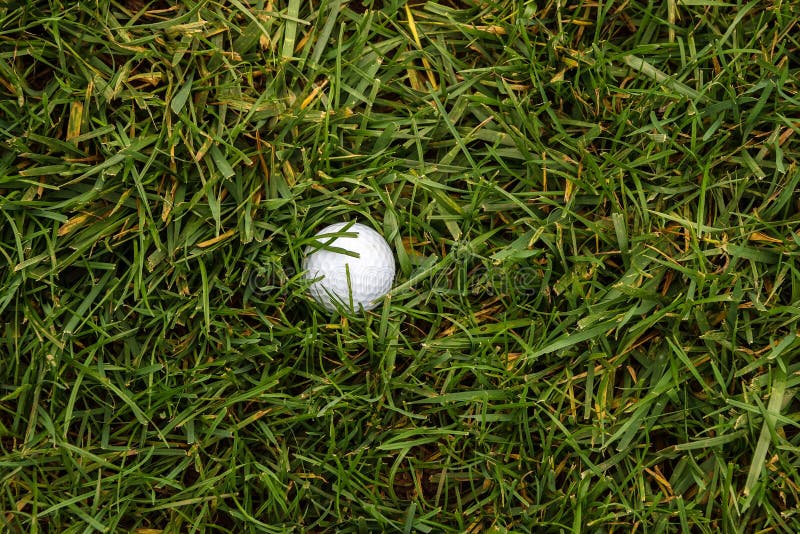 Golf Ball in the Rough stock image. Image of golf, game 64442689