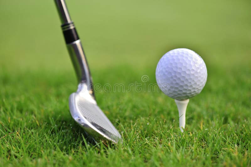 Image result for golf pic with stick pictures