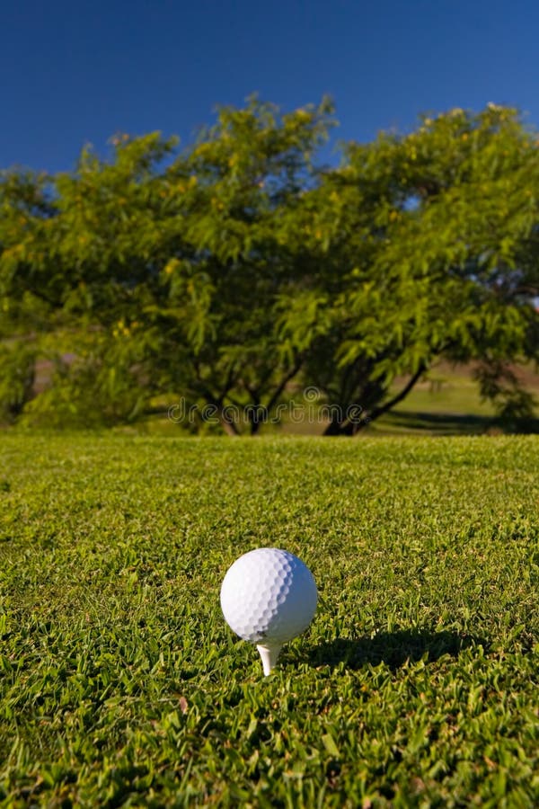 Golf ball on tee stock photo. Image of close, grass, ball 1125552