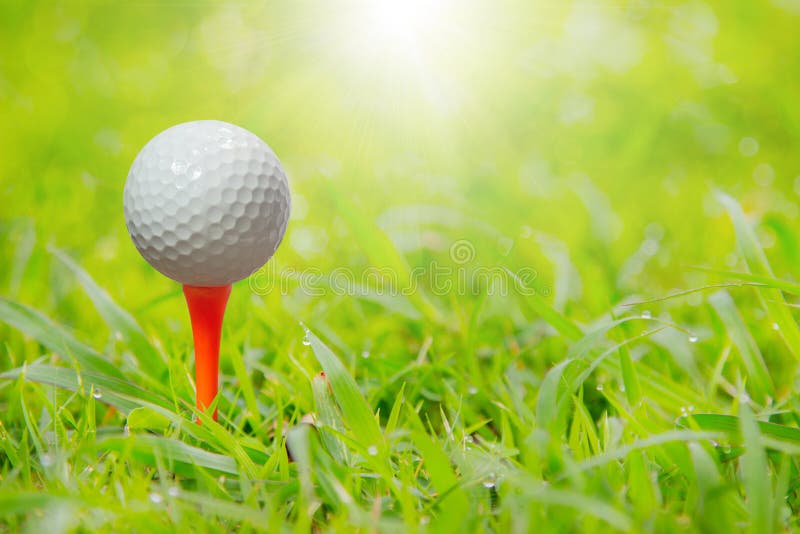 Golf ball on tee in front of driver ready to be shot on green gr royalty free stock photos Golf ball on tee in front of driver ready to be shot on green gr royalty free stock photos