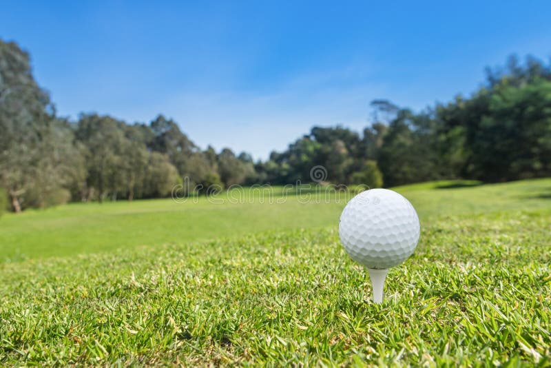 A golf ball on a tee at the start of a hole.