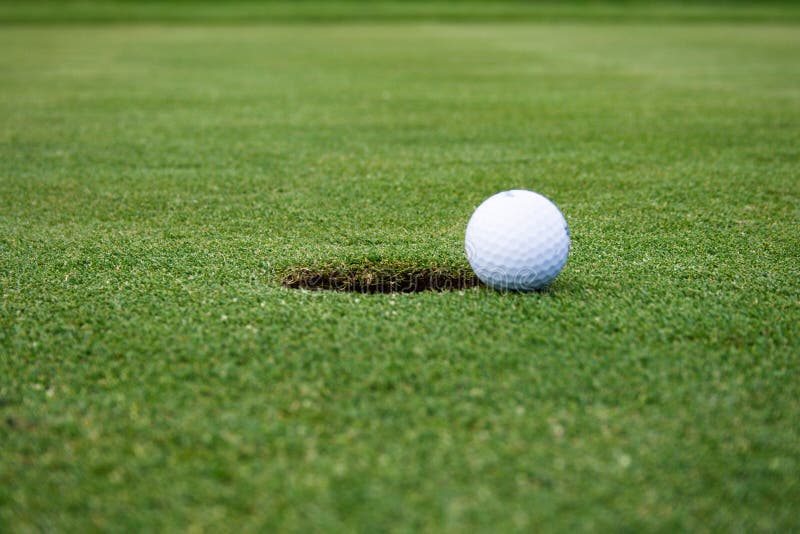 Golf ball stock photo. Image of green, sporty, grass, holiday - 4083526