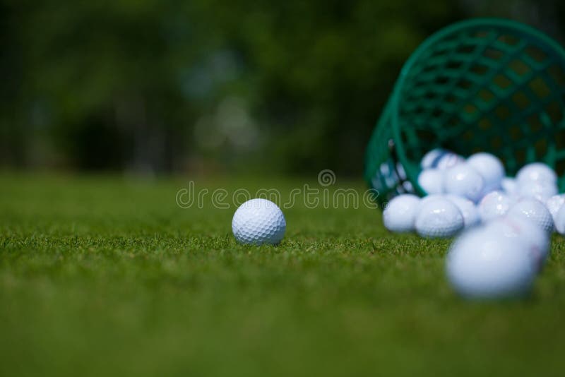 Golf balls basket stock photo. Image of activity, balls 49819774
