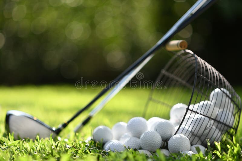Golf balls in basket and golf clubs on green grass for practice royalty free stock photography Golf balls in basket and golf clubs on green grass for practice royalty free stock photography