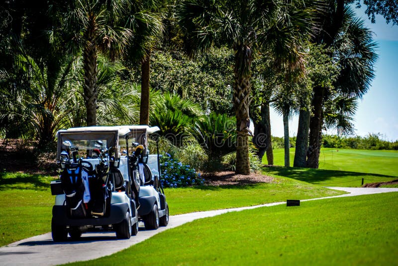 Golf cart in tropical scenery, palm trees and green grass during summer tournament in South Carolina