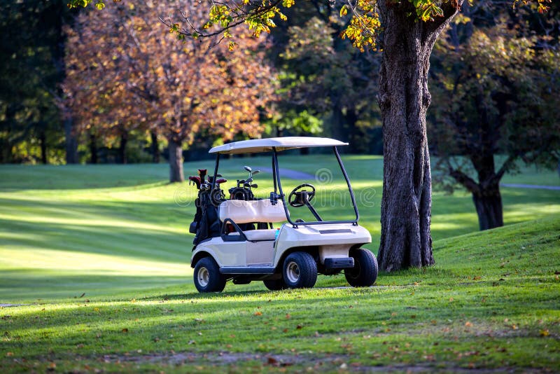 Golf Cart by Crepe Myrtle stock photo. Image of tree, grass 172658