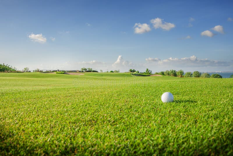 Golf club. Green field and ball in grass royalty free stock image