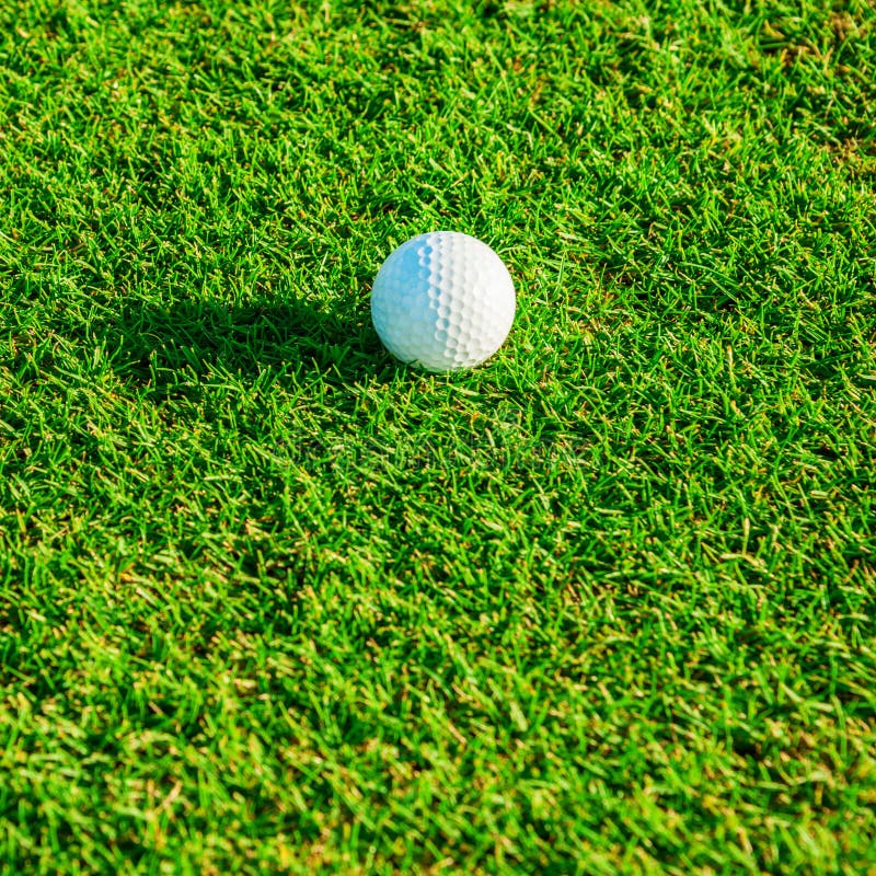 Golf club. Green field and ball in grass