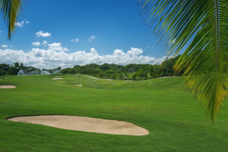 Golf course. Beautiful landscape of a golf court with palm trees in Punta Cana, Dominican Republic