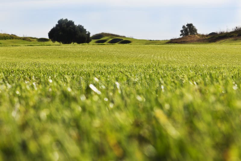 Golf Course In Belek Green Grass On The Field Blue Sky Sunny Stock