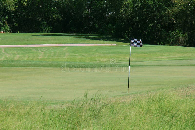 Golf Green With A Checkered Flag Stock Photo Image of field, color 23512420