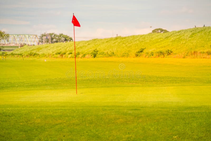Golf Course Green and Flag Image Stock Photo Image of ball, golf