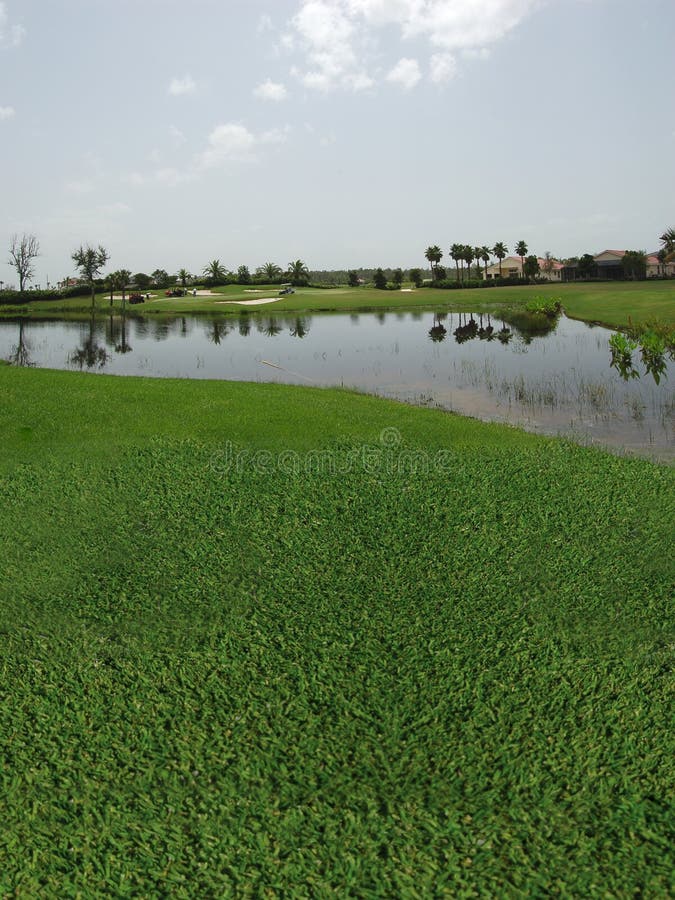 Golf Course with Lake views