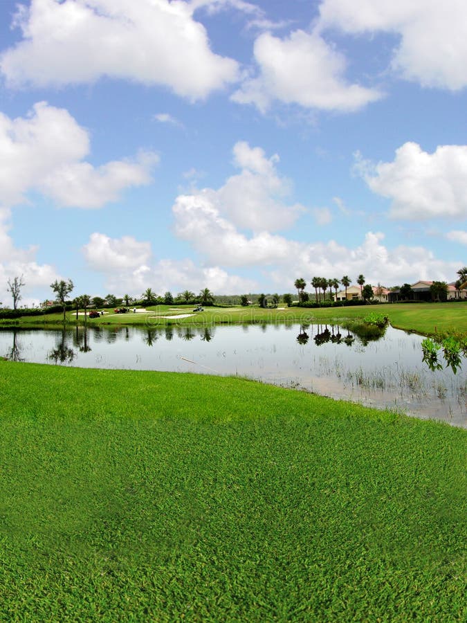 Golf Course with Lake Views Stock Photo Image of carts, fairway 1260100