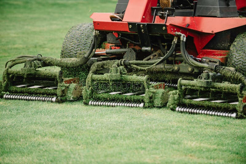 Golf Course Maintenance Equipment, Fairway Mower Stock Image Image of