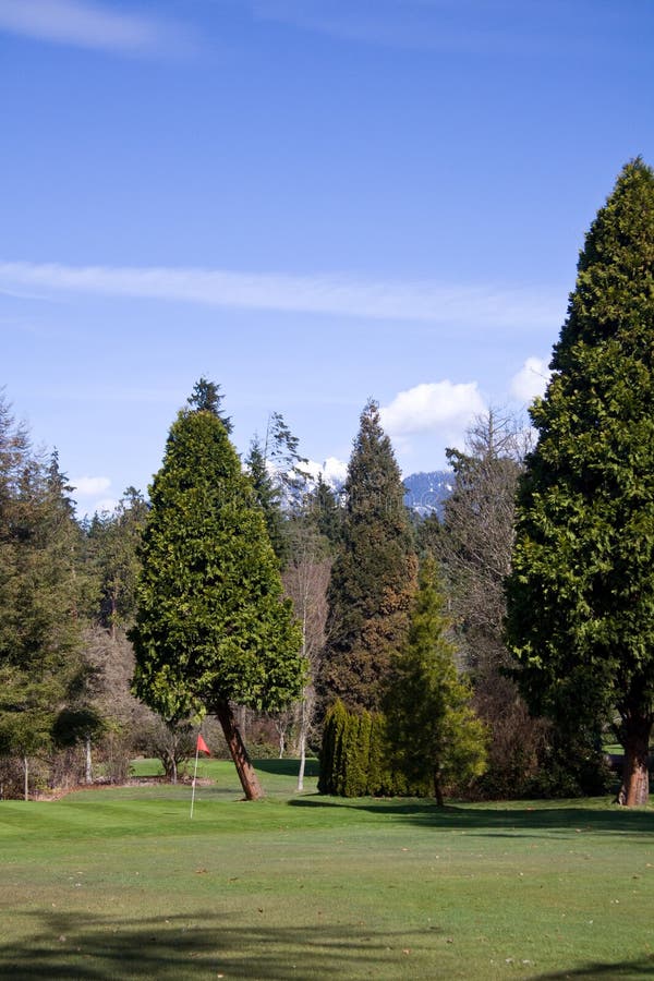 Golf Course, Stanley Park, Vancouver BC Stock Image Image of flag