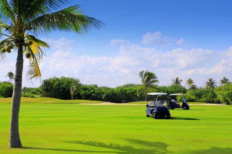 Golf course tropical palm trees in mayan riviera Mexico. Golf course tropical palm trees in mayan riviera Mexico