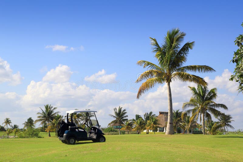 Golf course tropical palm trees in mayan riviera Mexico. Golf course tropical palm trees in mayan riviera Mexico