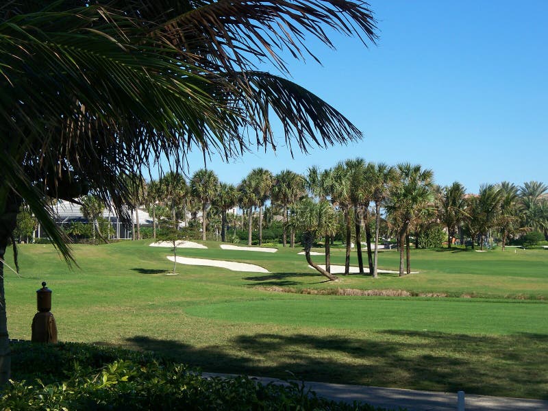 Golf Course Green in Florida 2 Stock Photo Image of exclusive, florida 15231716
