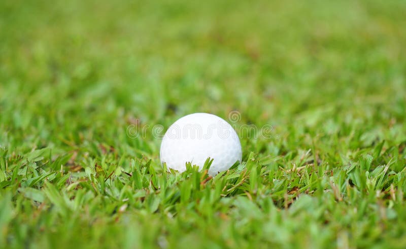 Golf Crystal White Ball Green Grass Golf Course Stock Photos - Free ...