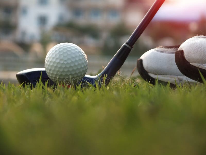 Golf Equipment in a Green Lawn Stock Photo Image of glove, background