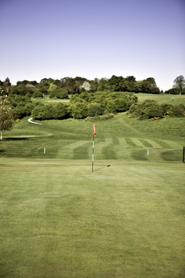 Golf green stock image. Image of grass, green, sport 13525717