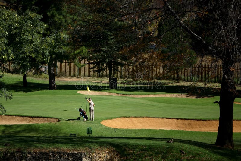 El curso verde, dama eliminación su club para el putting verde bolsa.