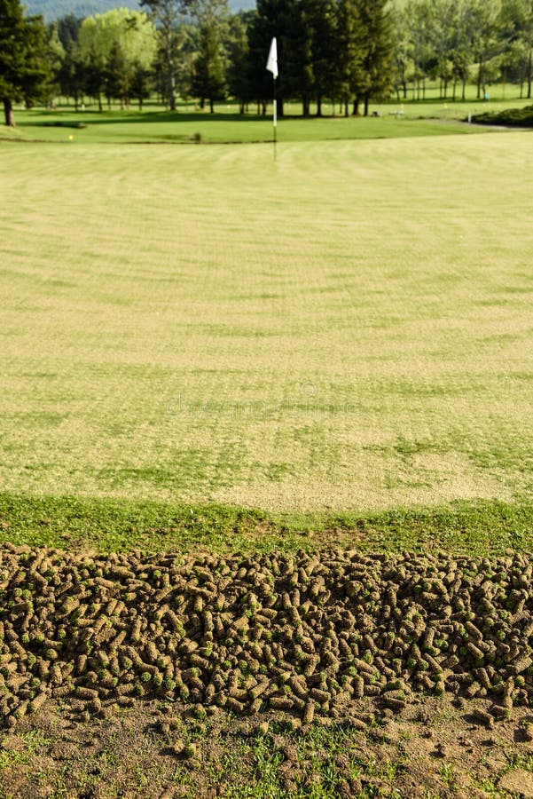 Curved Iron Grid Drainage System In The Green Lawn. Stock Photo Image
