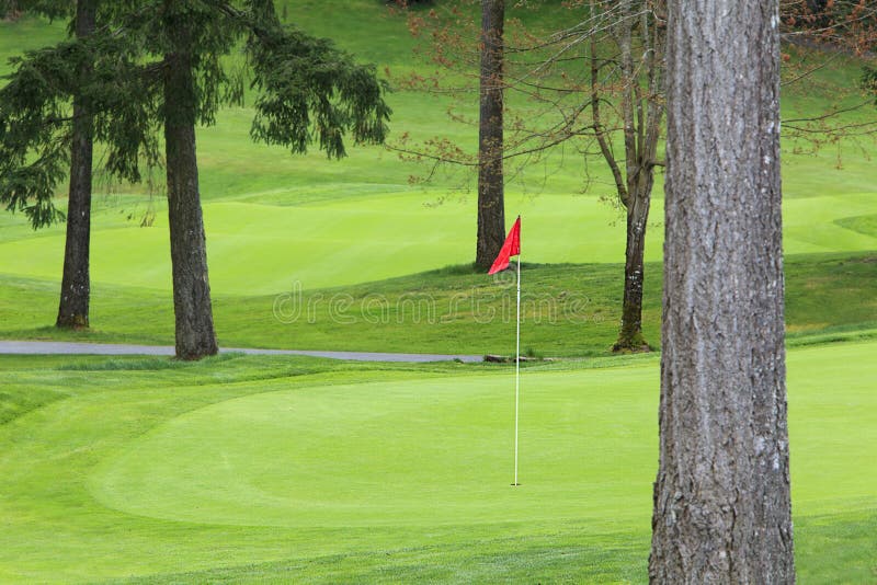 Golf Green with Red Pin