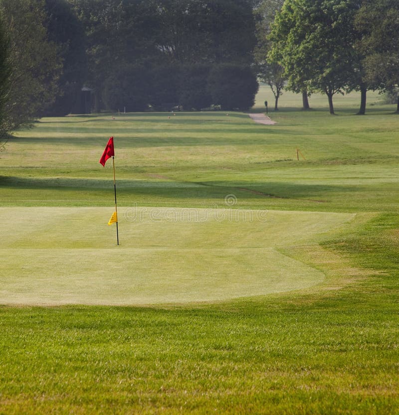 Golf green and tee