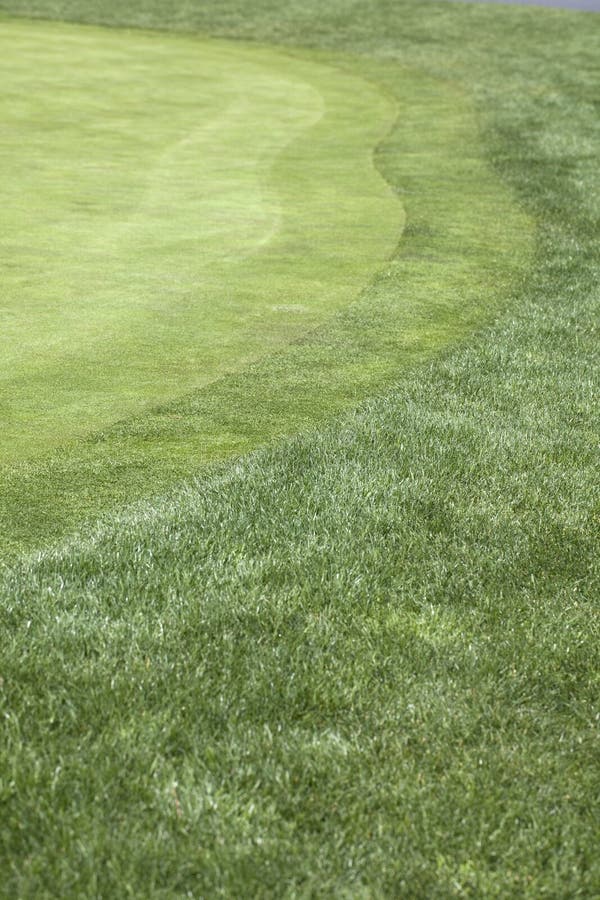 Golf hole on putting green