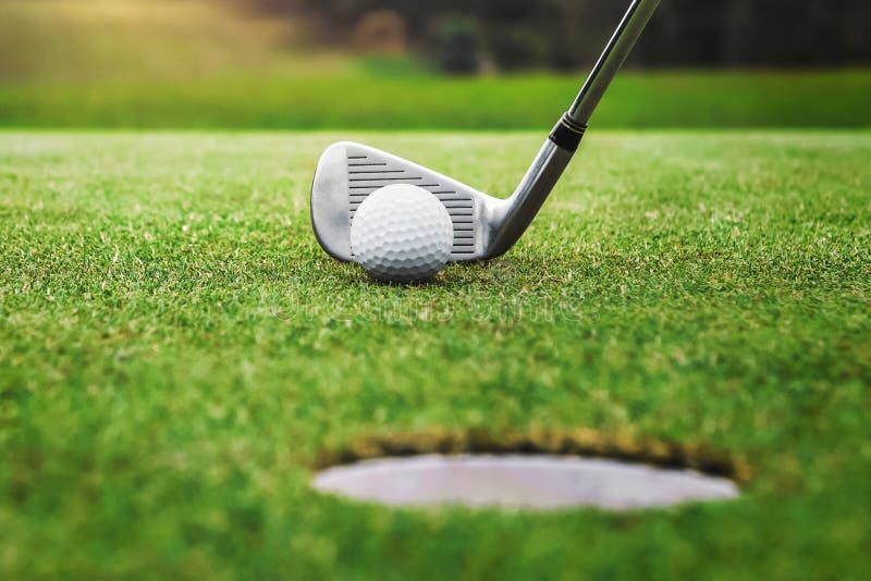 Golf Player Putting Golf Ball into Hole Stock Image Image of ball