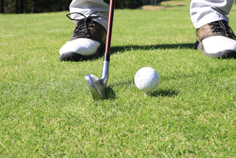 845 Golf Player Putting Green Hitting Ball Hole Stock Photos Free