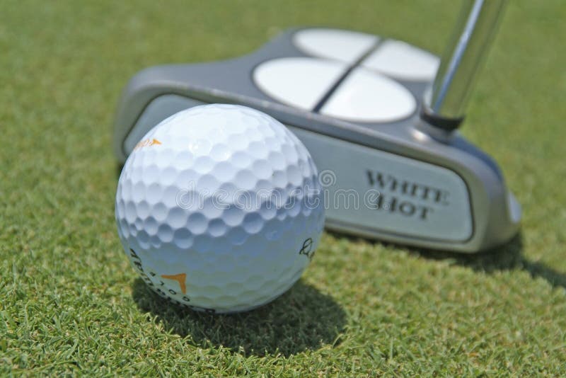 Putter To Ball and Takes Aim at Golf Course Stock Image Image of club