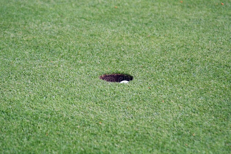 Golf Sports royalty free stock photo Golf Sports royalty free stock photo