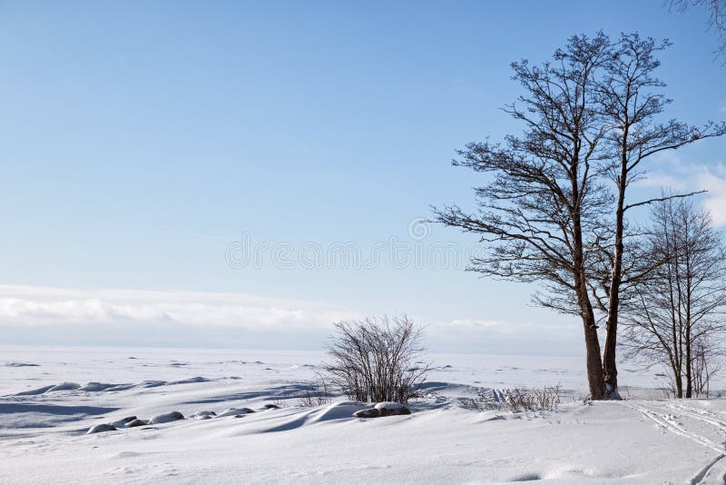 Golf Von Finnland Im Winter Stockbild Bild Von Finnland Winter