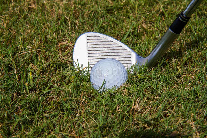 Golfball_on_rough stock image. Image of grass, meadow 7288937