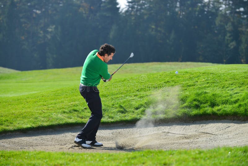 Golfer Chipping Onto the Green Stock Photo Image of flag, ball 36386326
