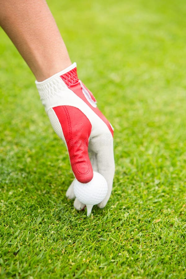Golfer Placing Golf Ball on Tee Stock Photo Image of player, weekend
