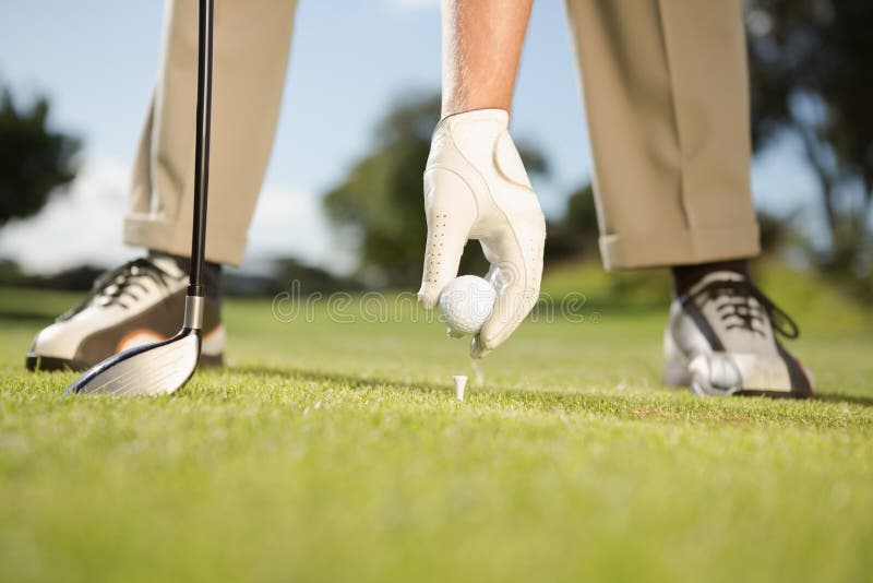 Golfer Placing Golf Ball on Tee Stock Image Image of weekend