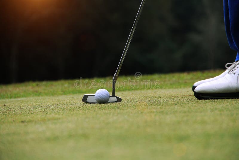 Golfer putting golf ball on the green golf stock images Golfer putting golf ball on the green golf stock images