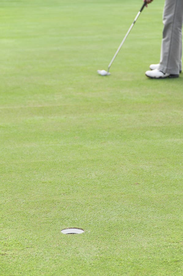 Golfer on putting green. stock image. Image of playing 39627043