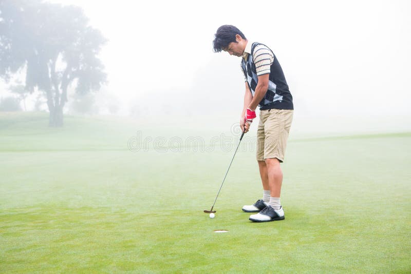 Golfer on the Putting Green at the Hole Stock Photo Image of pursuit
