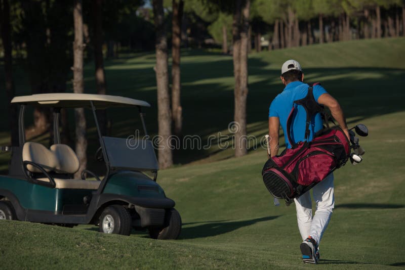 Golfer Walking and Carrying Golf Bag Stock Photo Image of exercise