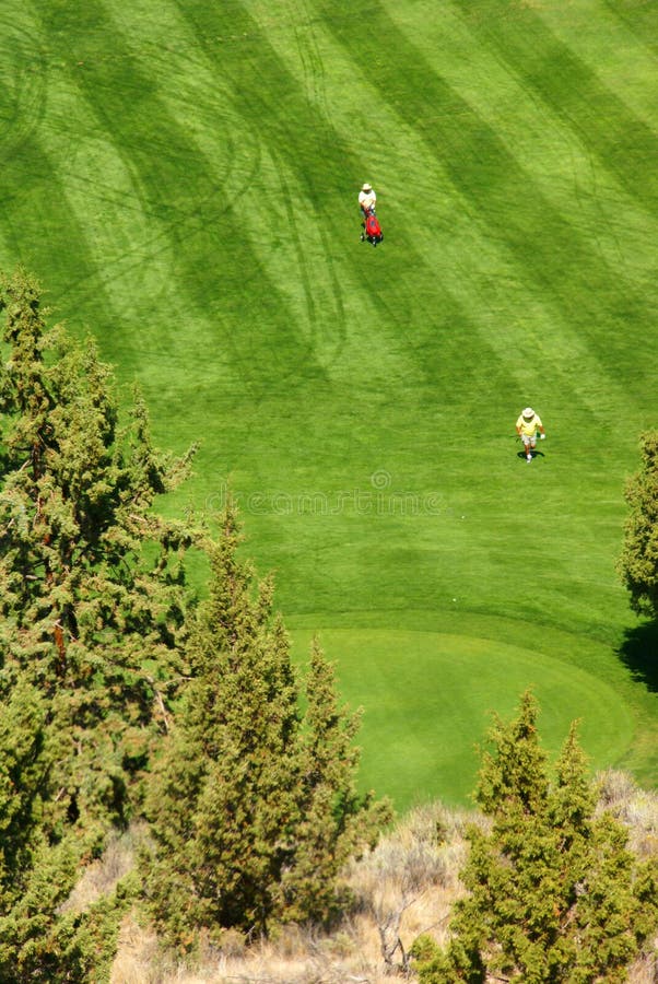 Green Fairway stock image. Image of golf, fairway, afternoon 2415309
