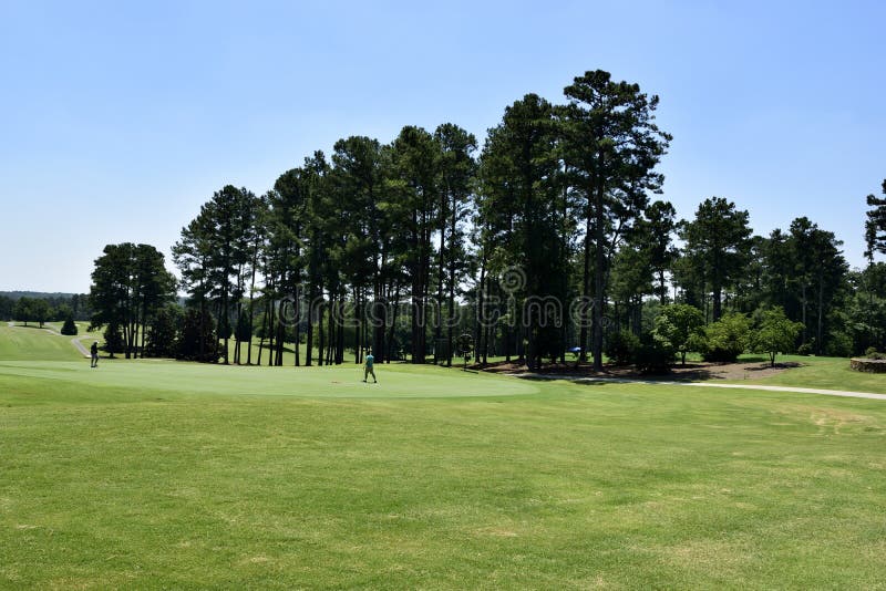Golfers on course stock image. Image of playing, fairway 73425435